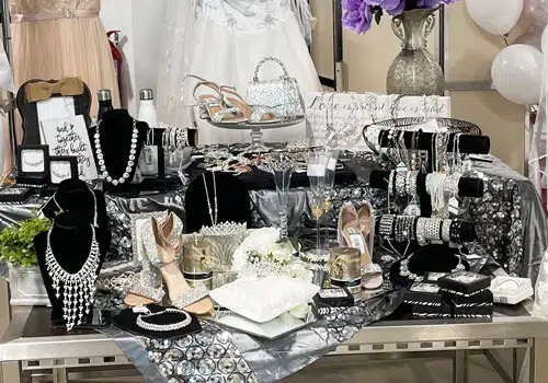 Bridal Gown Show 2025 Bridal Gown Show 2025