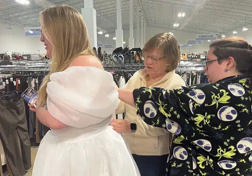 Bridal Gown Show 2025 Bridal Gown Show 2025