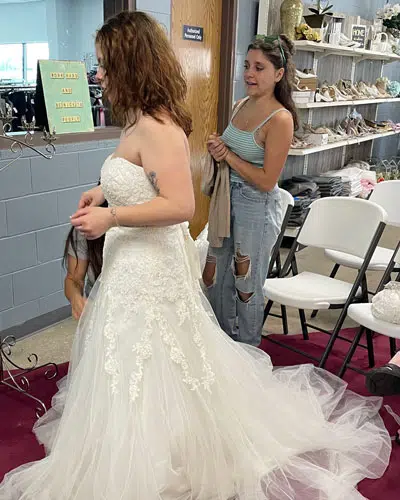 Bridal Gown Show 2025 Bridal Gown Show 2025