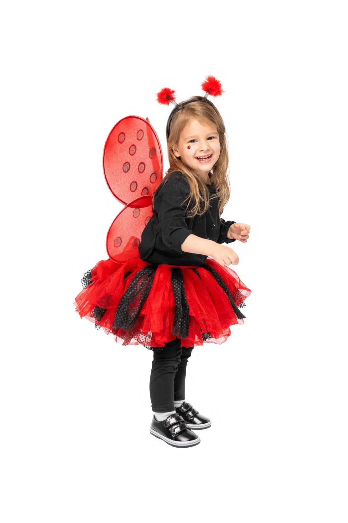 Ladybug Costume