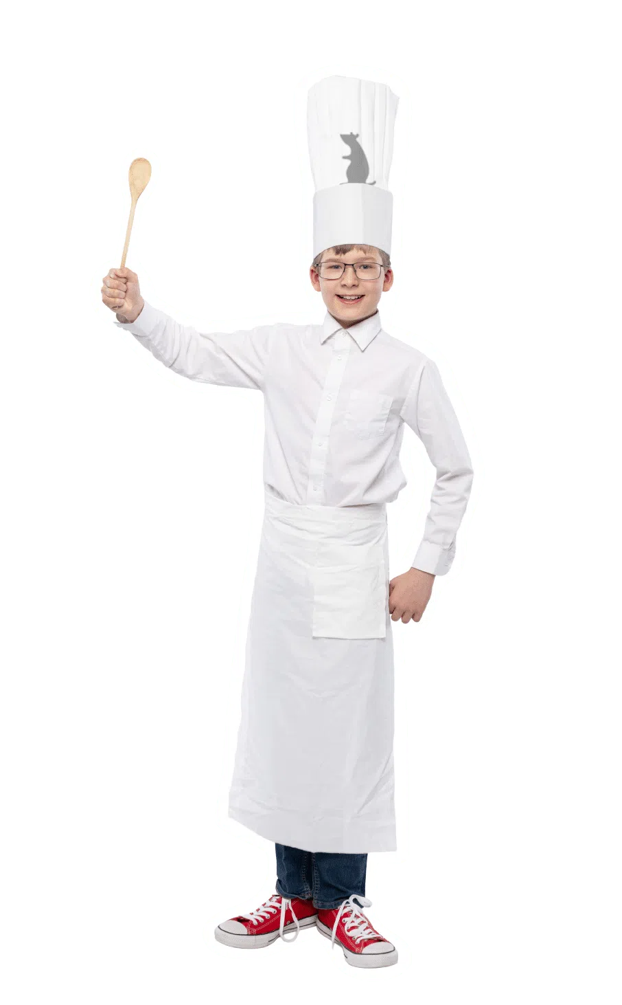 Ratatouille Costume